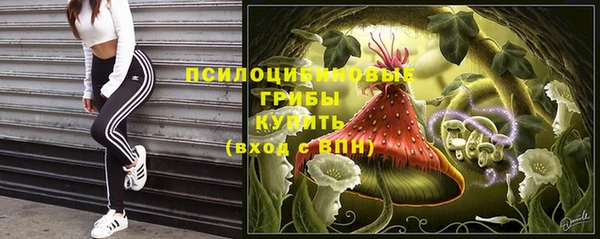 Альфа ПВП Надым