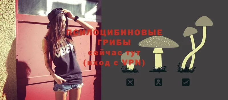 Галлюциногенные грибы Magic Shrooms  Новая Ляля 