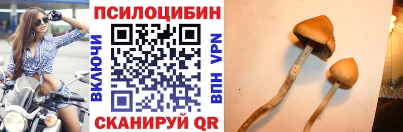 хочу наркоту  Новая Ляля  МЕГА ссылки  Галлюциногенные грибы Psilocybe 